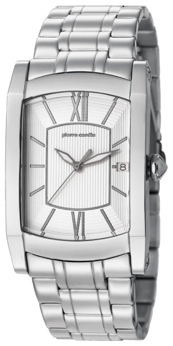 Wrist watch Pierre Cardin PC105391F02 for men - 1 picture, image, photo