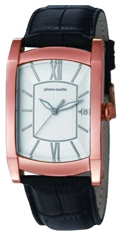 Wrist watch Pierre Cardin PC105391F08 for men - 1 picture, image, photo