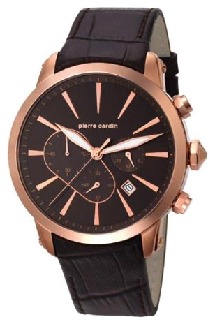 Wrist watch Pierre Cardin PC105431F10 for men - 1 photo, picture, image