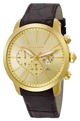 Wrist watch Pierre Cardin PC105431F14 for men - 1 photo, picture, image