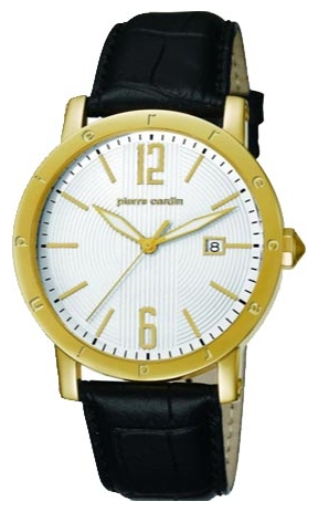 Wrist watch Pierre Cardin PC105451F08 for men - 1 photo, image, picture