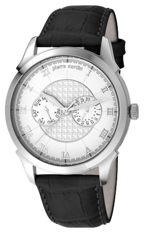 Wrist watch Pierre Cardin PC105871F02 for men - 1 picture, image, photo