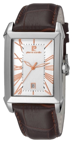 Wrist watch Pierre Cardin PC105881F02 for men - 1 photo, image, picture