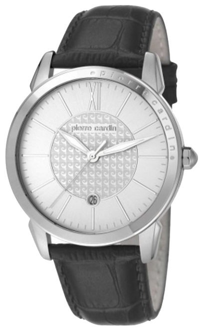 Wrist watch Pierre Cardin PC105911F02 for men - 1 photo, picture, image