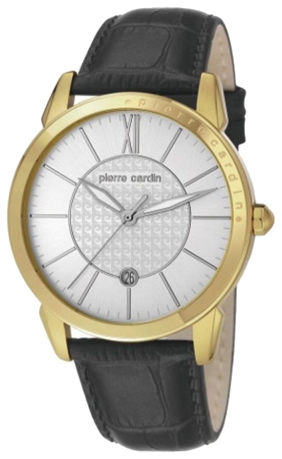 Wrist watch Pierre Cardin PC105911F05 for men - 1 image, photo, picture