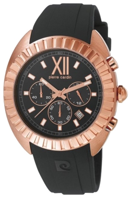 Wrist watch Pierre Cardin PC105941F05 for men - 1 photo, image, picture