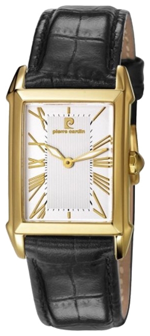 Wrist watch Pierre Cardin PC105972F03 for women - 1 photo, image, picture