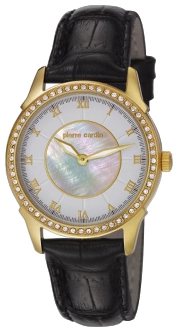 Wrist watch Pierre Cardin PC106062F06 for women - 1 picture, photo, image