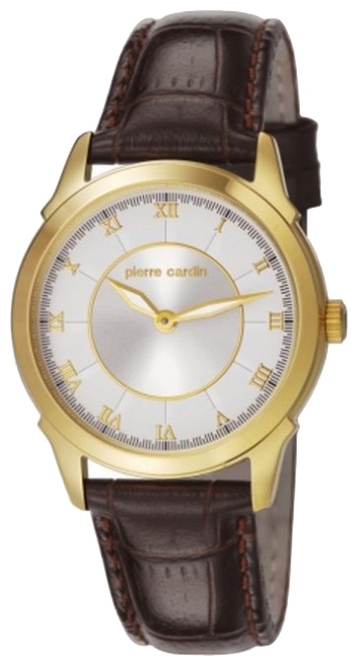 Wrist watch Pierre Cardin PC106072F03 for men - 1 image, photo, picture