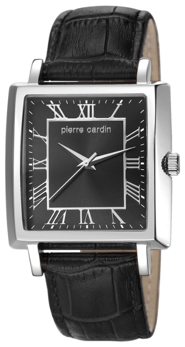 Wrist watch Pierre Cardin PC106141F01 for men - 1 photo, image, picture