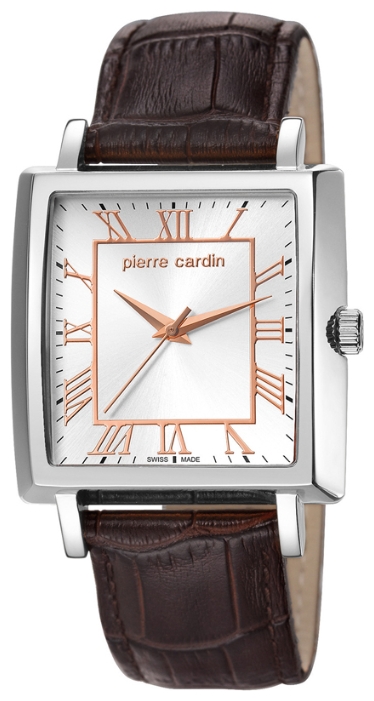 Wrist watch Pierre Cardin PC106141F02 for men - 1 photo, picture, image