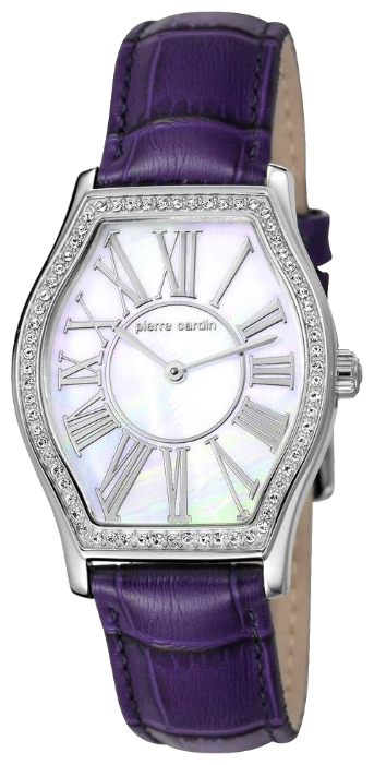 Wrist watch Pierre Cardin PC106222F02 for women - 1 photo, image, picture