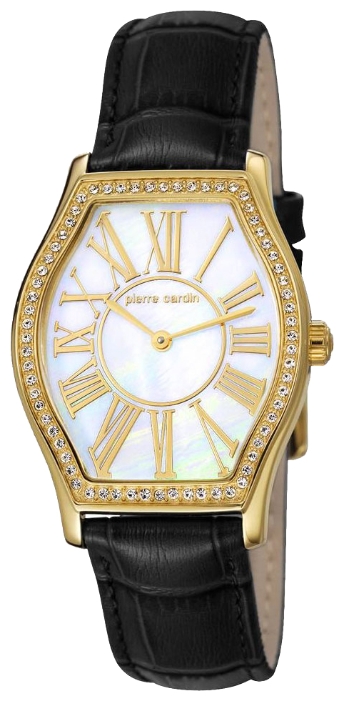 Wrist watch Pierre Cardin PC106222F05 for women - 1 photo, image, picture