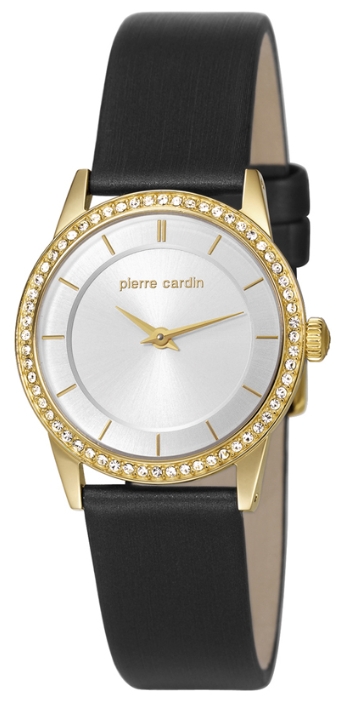 Pierre Cardin PC106242F02 pictures