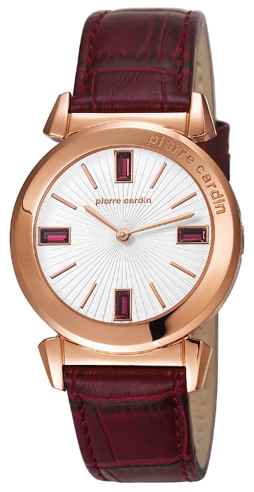Wrist watch Pierre Cardin PC106252F05 for women - 1 photo, picture, image