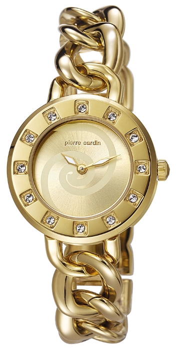 Wrist watch Pierre Cardin PC106262F04 for women - 1 picture, photo, image