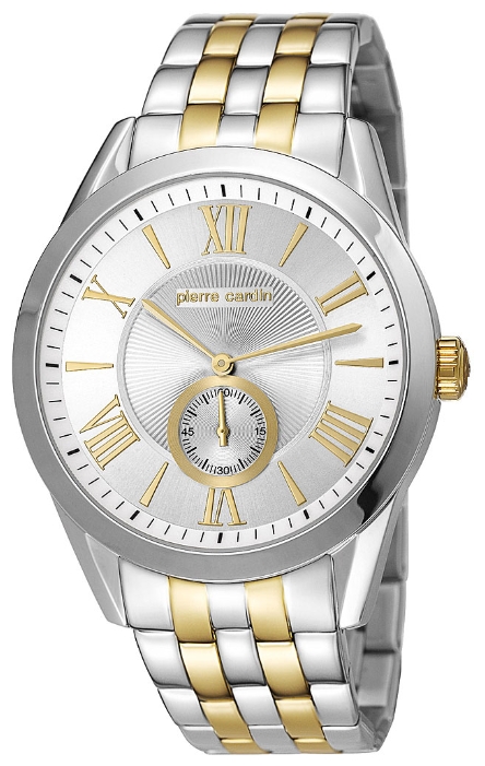 Wrist watch Pierre Cardin PC106271F06 for men - 1 photo, image, picture