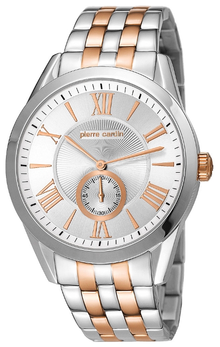 Wrist watch Pierre Cardin PC106271F07 for men - 1 photo, image, picture