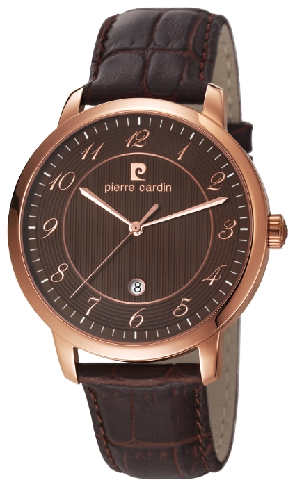 Wrist watch Pierre Cardin PC106311F05 for men - 1 picture, image, photo
