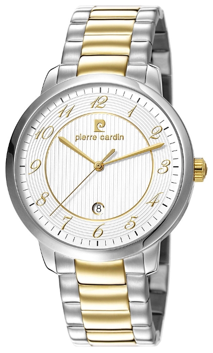 Wrist watch Pierre Cardin PC106311F08 for men - 1 photo, image, picture