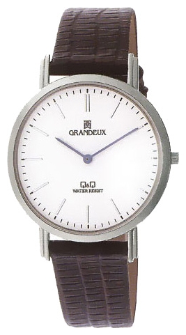 Q&Q watch for men - picture, image, photo