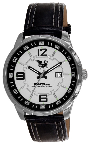 RG512 watch for men - picture, image, photo
