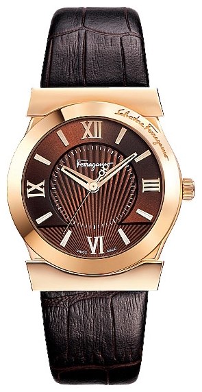 Wrist watch Salvatore Ferragamo F74MBQ5033SB25 for women - 1 photo, image, picture