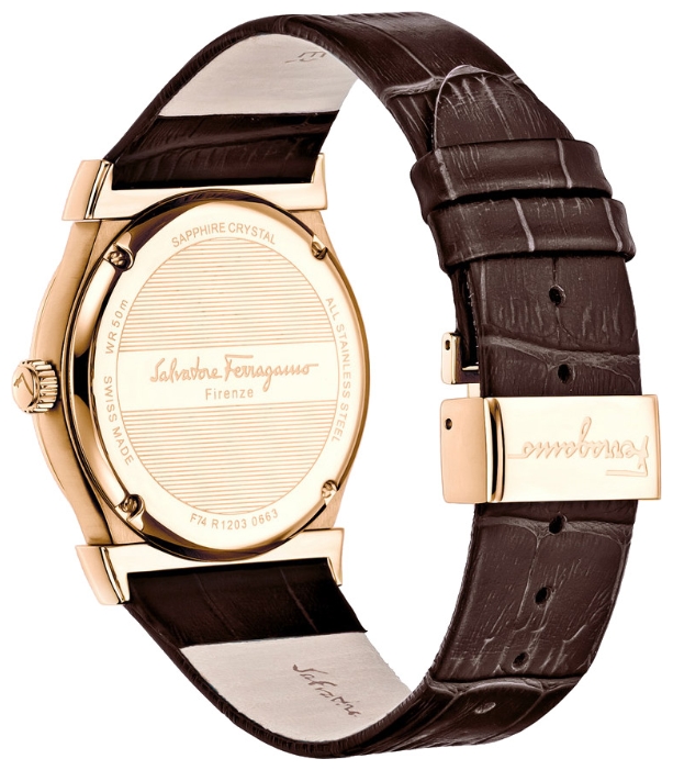Wrist watch Salvatore Ferragamo F74MBQ5033SB25 for women - 2 photo, image, picture