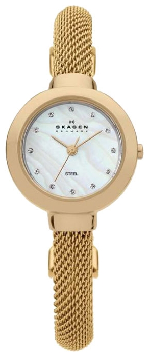 Wrist watch Skagen 107SGCG for women - 1 picture, photo, image