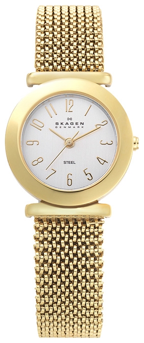 Skagen 107SGG1 wrist watches for women - 1 image, picture, photo