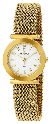 Skagen watch for women - picture, image, photo