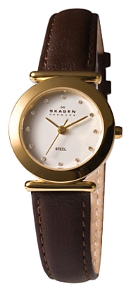 Wrist watch Skagen 107SGLD for women - 1 picture, photo, image