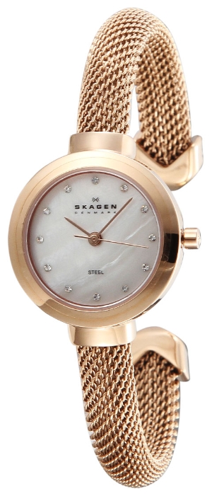 Wrist watch Skagen 107SRCR for women - 2 picture, photo, image