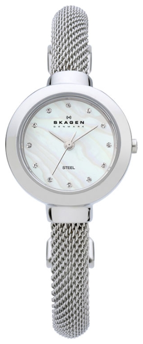 Wrist watch Skagen 107SSCS for women - 1 image, photo, picture