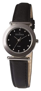 Wrist watch Skagen 107SSLB for women - 1 image, photo, picture