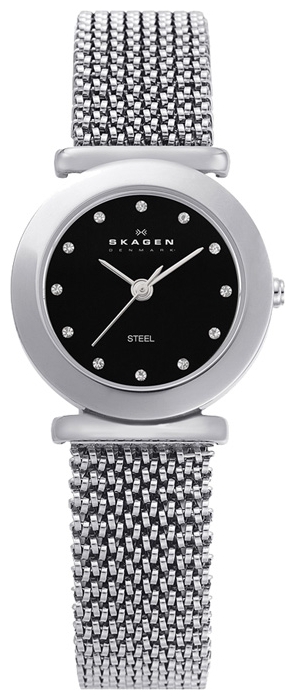 Wrist watch Skagen 107SSSB1 for women - 1 picture, image, photo