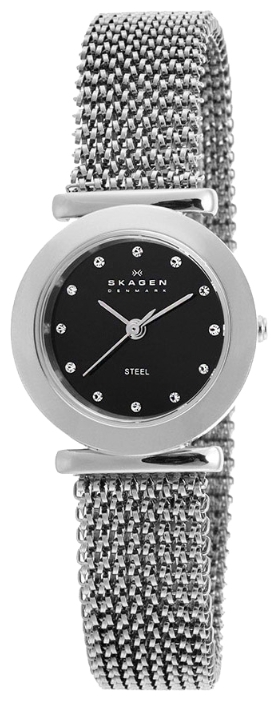 Wrist watch Skagen 107SSSB2 for women - 2 photo, picture, image