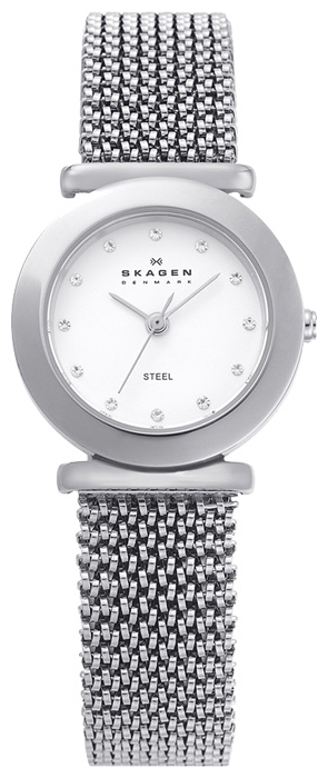 Skagen 107SSSS1 wrist watches for women - 1 image, picture, photo