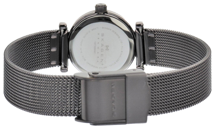 Wrist watch Skagen 107XSMM1 for women - 2 picture, image, photo