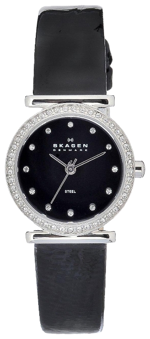 Wrist watch Skagen 108SBLB for women - 1 picture, image, photo