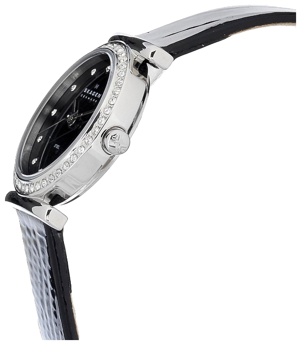 Wrist watch Skagen 108SBLB for women - 2 picture, image, photo