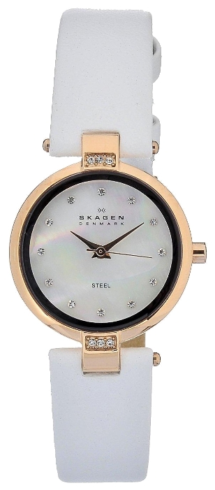 Wrist watch Skagen 109SRLW for women - 1 picture, photo, image