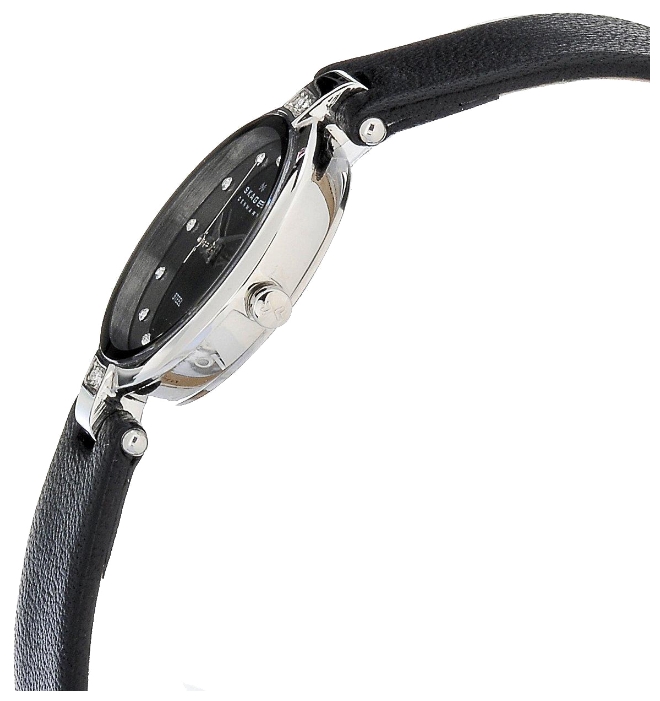 Wrist watch Skagen 109SSLB for women - 2 photo, image, picture