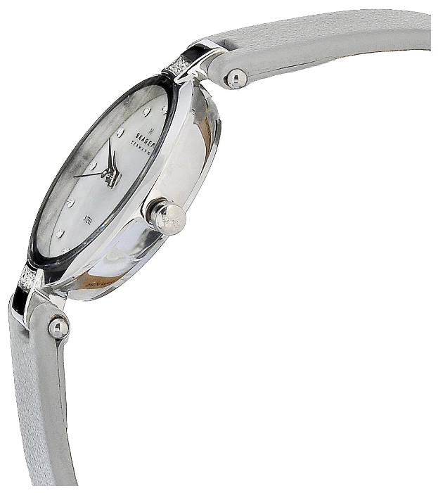 Wrist watch Skagen 109SSLML for women - 2 picture, image, photo