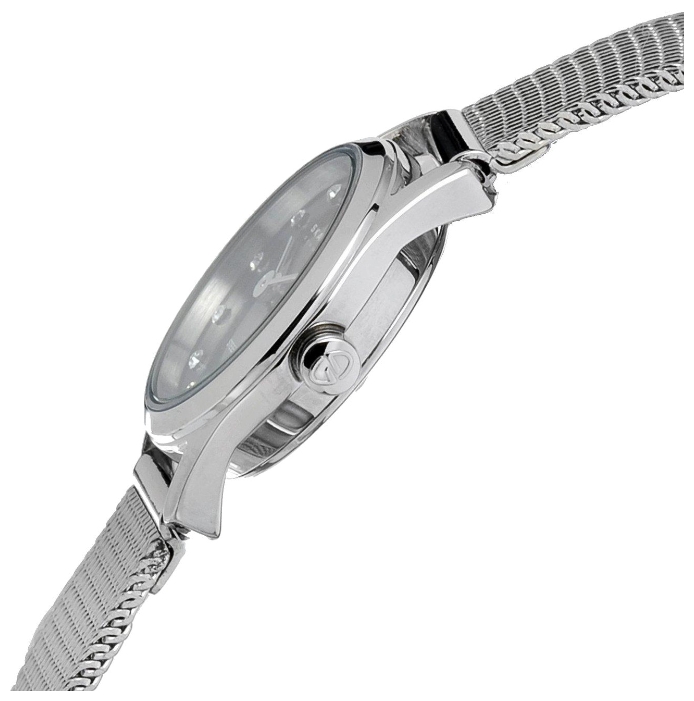Wrist watch Skagen 126XSSSB for women - 2 photo, picture, image