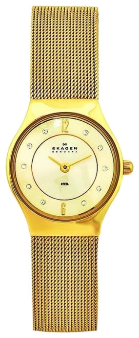 Wrist watch Skagen 233XSGGG for women - 1 image, photo, picture