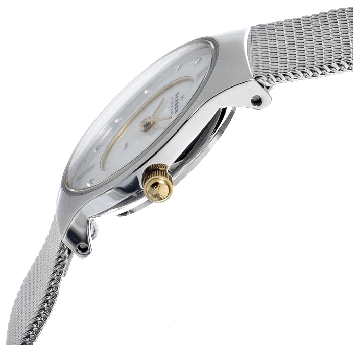 Wrist watch Skagen 233XSSGSC for women - 2 photo, picture, image