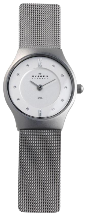 Wrist watch Skagen 233XSSS1 for women - 1 photo, picture, image