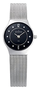 Skagen watch for women - picture, image, photo