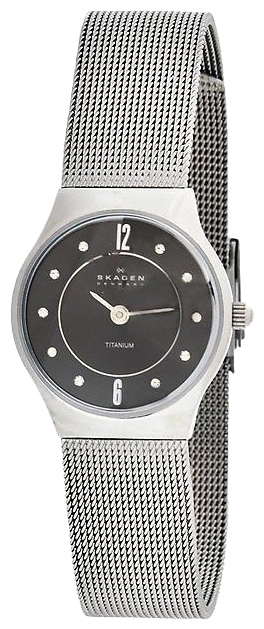 Wrist watch Skagen 233XSSTM for women - 1 photo, image, picture